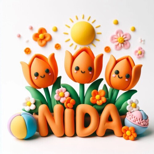 Nida